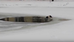 Pod psem se propadl led. To, kdo ho nakonec zachránil, vás překvapí. 